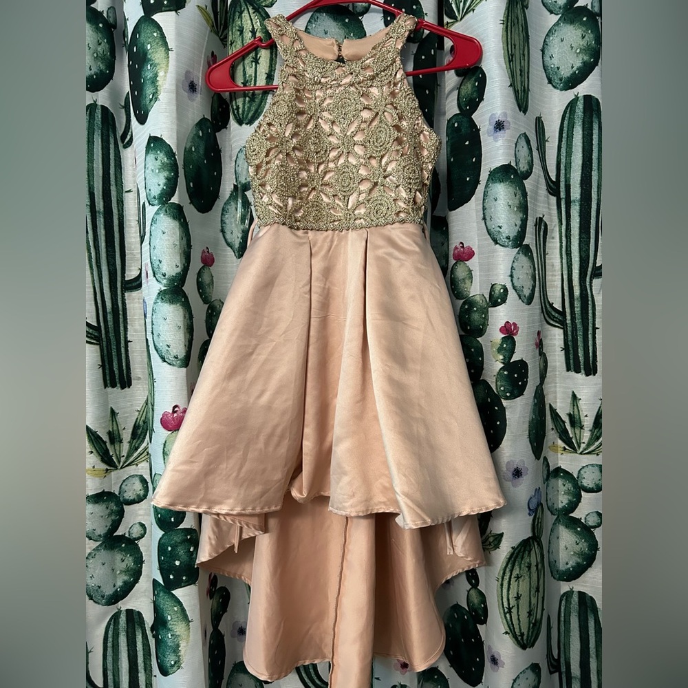 Girls Rose Gold Dress